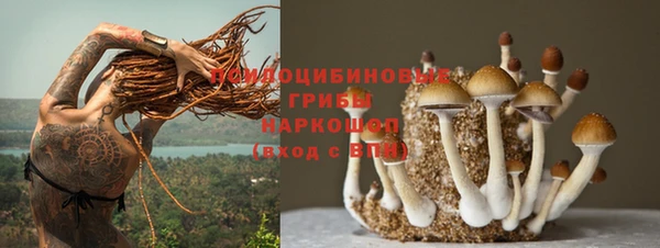 шишки Богданович
