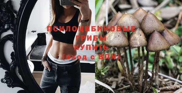 шишки Богданович