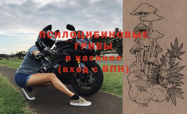 шишки Богданович